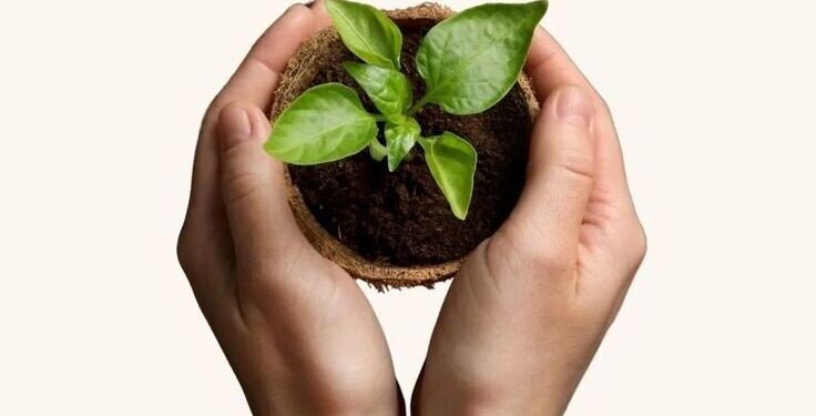 Ilustrasi: Pinterest.