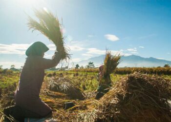 Ketum LDII: Bela Negara Bukan Sekadar Kesiapan TNI, Tetapi Kontribusi Setiap Warga Negara