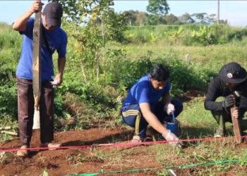 LDII Kota Bogor Tanam Jagung di Lahan Tak Subur untuk Uji Coba Pertanian Organik