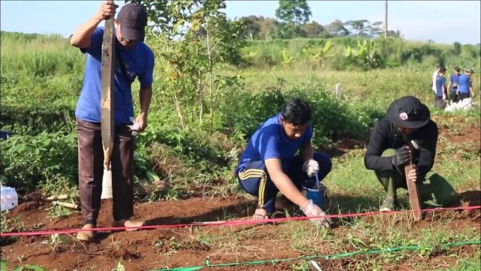 DPD LDII Kota Bogor bekerja sama dengan Yayasan Rancabungur Hijau Barokah menggelar penanaman bibit jagung. Foto: LINES.