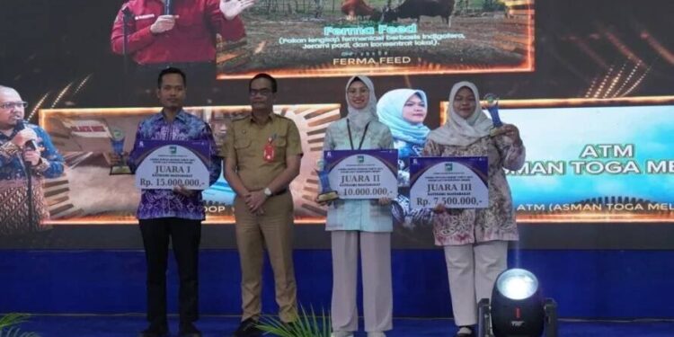 Ketua DPD LDII Tanah Laut, Anton Kuswoyo, mengolah jerami padi menjadi pakan ternak sapi bernilai ekonomis tinggi. Foto: LINES.