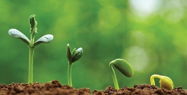 Ilustrasi: Pinterest.