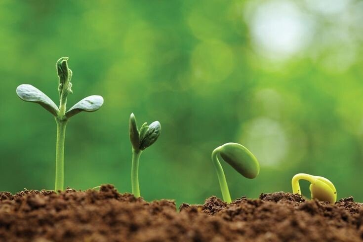 Ilustrasi: Pinterest.