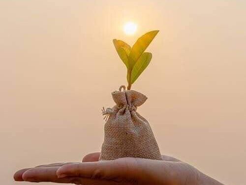 Ilustrasi: Pinterest.