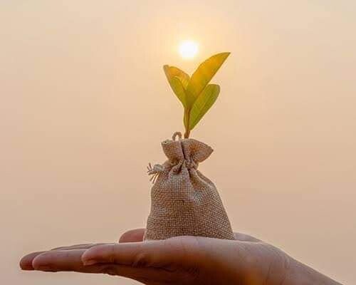 Ilustrasi: Pinterest.