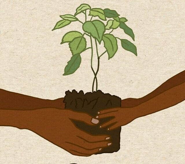 Ilustrasi: Pinterest.