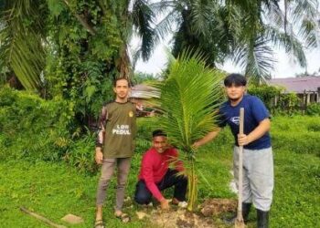 Dukung Ketahanan Pangan, LDII Langsa Tanam Pohon Kelapa