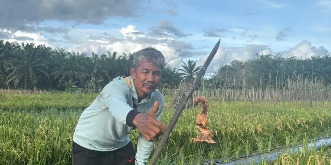 Taswadi, salah satu LISDAL’s Local Heroes dari Melawi, Kalimantan Barat, Indonesia. Foto: LINES