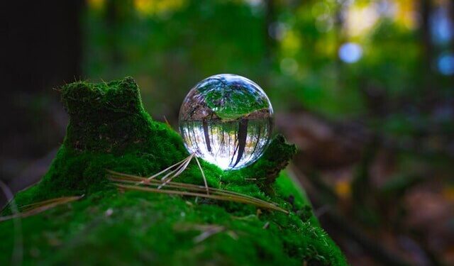 Ilustrasi: unsplash/joshuaworoniecki