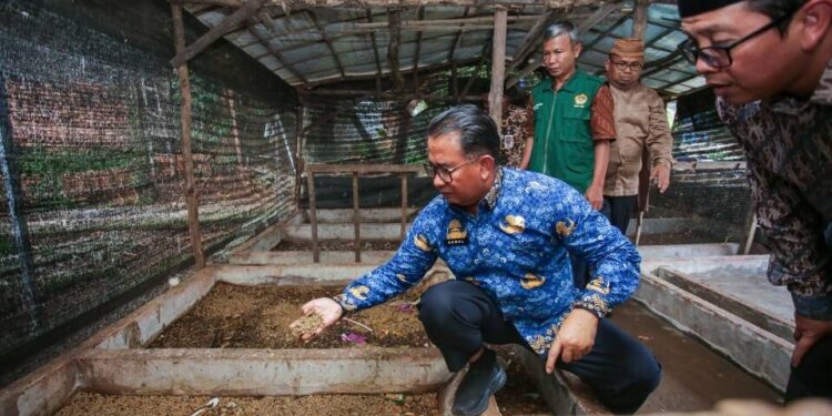 Direktur Jenderal Politik dan Pemerintahan Umum (Polpum) Kementerian Dalam Negeri, Akmal Malik kunjungi program zero waste, salah satunya budidaya maggot di Ponpes Minhaajurrosyidin. Foto: LINES.