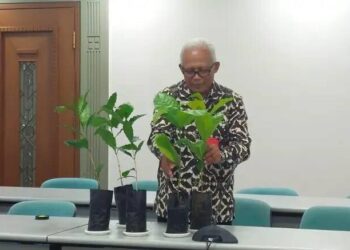 Kembangkan Varietas Kopi Unggul di Tana Toraja, Warga LDII Raih Penghargaan Satyalancana Wira Karya