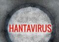 Epidemolog Dicky Budiman Ajak Waspadai Hantavirus tanpa Panik