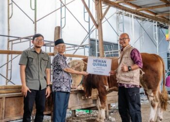 Ponpes Wali Barokah Terima Sapi Kurban Amanah dari Wakil Presiden RI