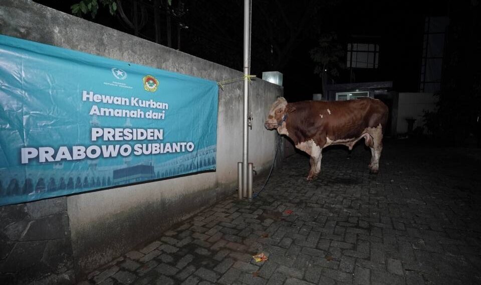 DPP LDII Terima Sapi Kurban dari Presiden dan Wakil Ketua Komisi VIII DPR RI