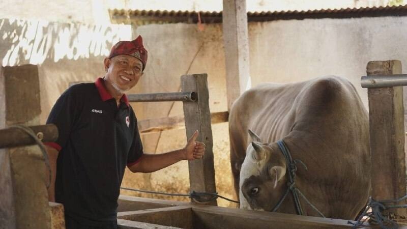 Warga LDII Polman berencana menyembelih sapi kurban Presiden. Foto: LINES.