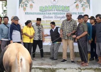 LDII Mimika Terima Sapi Kurban dari Pemprov Papua Tengah dan Pemkab Mimika