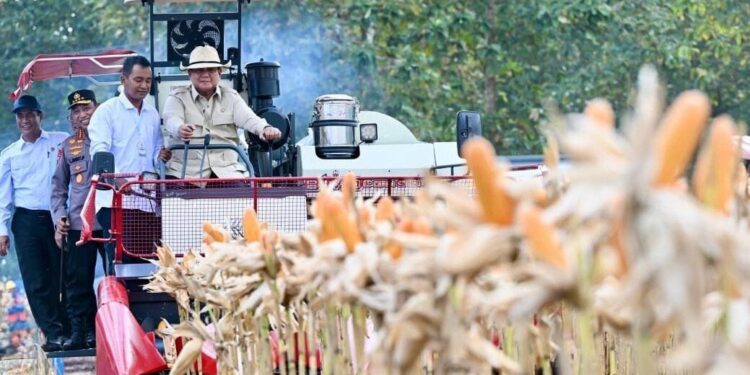 Presiden Republik Indonesia, Prabowo Subianto melakukan kunjungan kerja ke Kabupaten Tuban, Sabtu (16/5). Foto: LINES