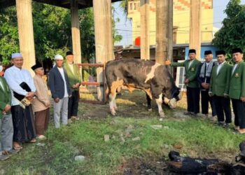 LDII Setia Asih Terima Bantuan Sapi Kurban dari Presiden Prabowo