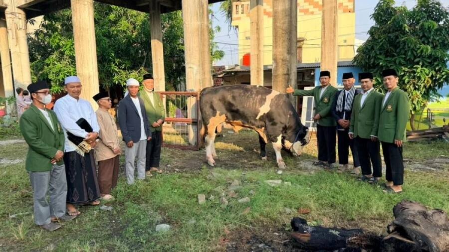 Bantuan Sapi Kurban di PAC LDII Setia Asih, Tarumajaya. Foto: LINES.