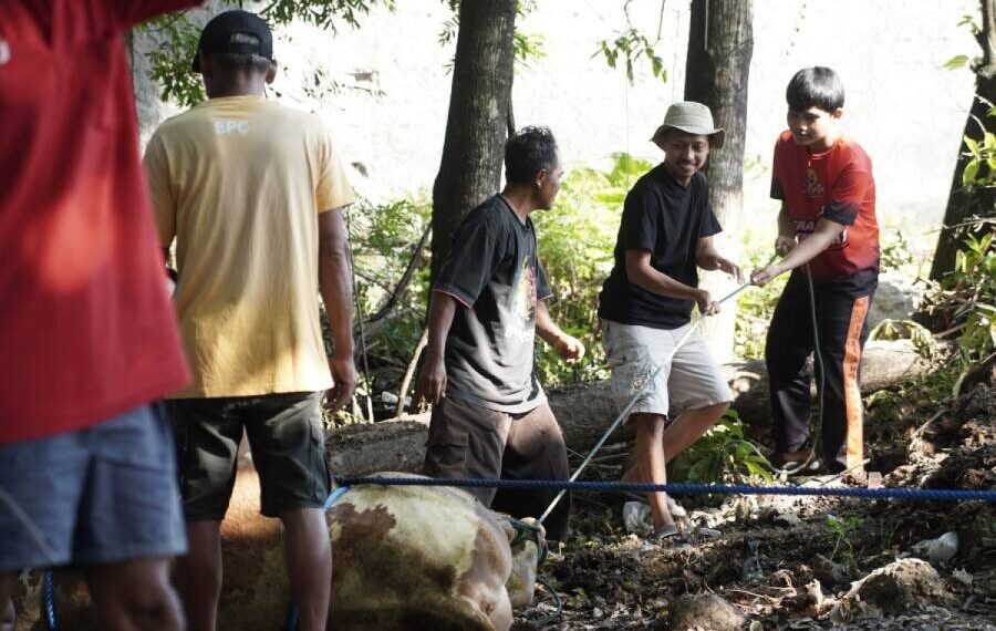Warga LDII Kecamatan Nogosari, Kabupaten Boyolali, Jawa Tengah menyembelih 80 ekor sapi dan 103 ekor kambing. Foto: LINES.