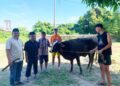 Terima Sapi Kurban dari Gubernur, LDII Banten Salurkan Daging untuk Masyarakat