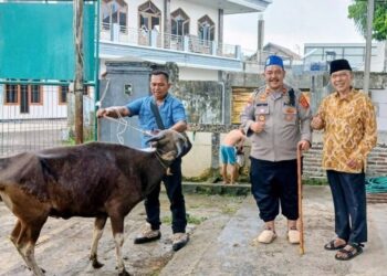 Kapolres Cilegon Salurkan Sapi Kurban ke LDII, Perkuat Semangat Berbagi untuk Masyarakat