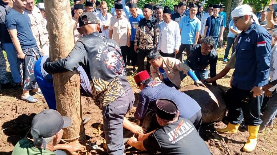 DPD LDII Kabupaten Serang menghadiri kegiatan pemotongan 1.000 domba. Foto: LINES.