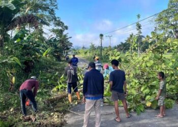 LDII Arso Barat Gotong Royong Bersihkan Jalan Penghubung Dua Kampung