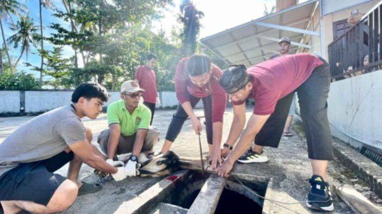 Ketua DPD LDII Kota Padang dr. H. M. Iqbal melakukan prosesi penyembelihan di PC LDII Kuranji. Foto: LINES.