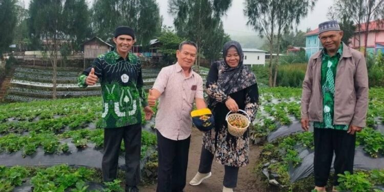 Tim Asesor Badan Akreditasi Nasional Pendidikan Anak Usia Dini, Pendidikan Dasar dan Pendidikan Menengah (BAN-PDM) Provinsi Jambi melaksanakan visitasi akreditasi Ponpes Sabilurrosyidin Jambi. Foto: LINES.