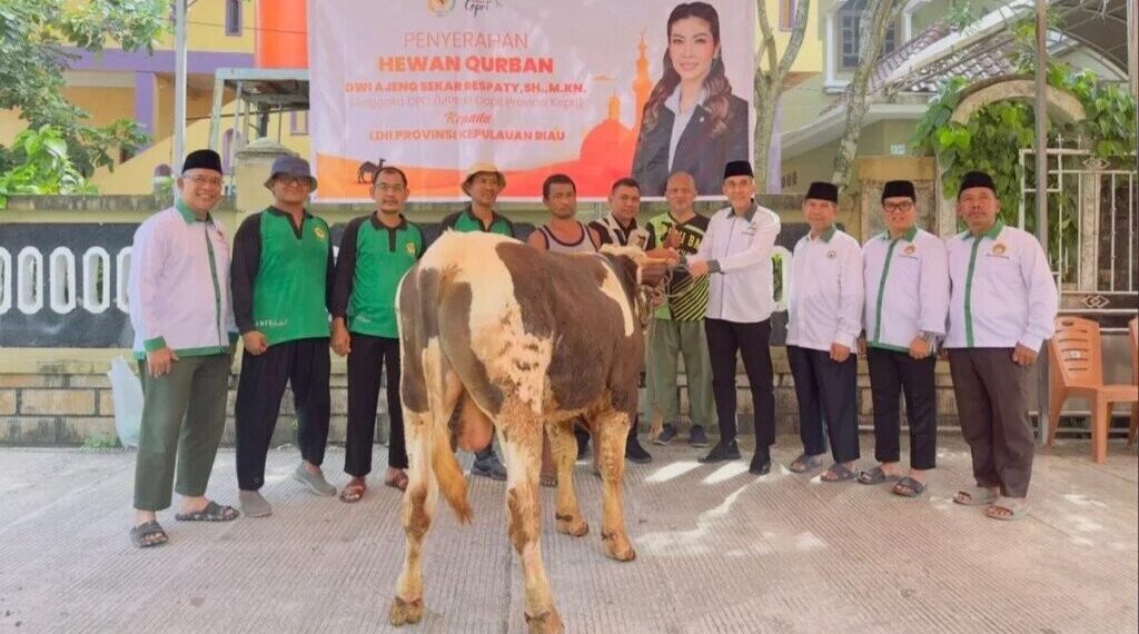 DPW LDII Kepulauan Riau menerima sapi kurban dari anggota DPD RI Dwi Ajeng Sekar Respaty dan anggota DPR RI Rizki Faisal. Foto: LINES
