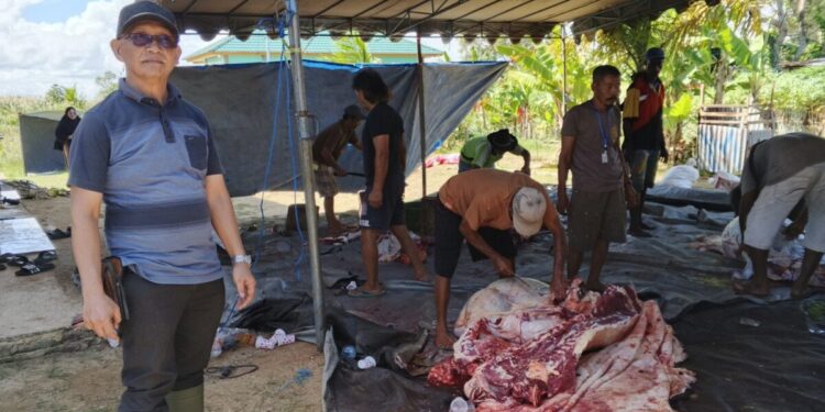 DPW LDII Papua Selatan menargetkan pendistribusian sedikitnya 3.000 paket daging kurban pada Hari Raya Idul Adha 1447 Hijriah. Foto: LINES