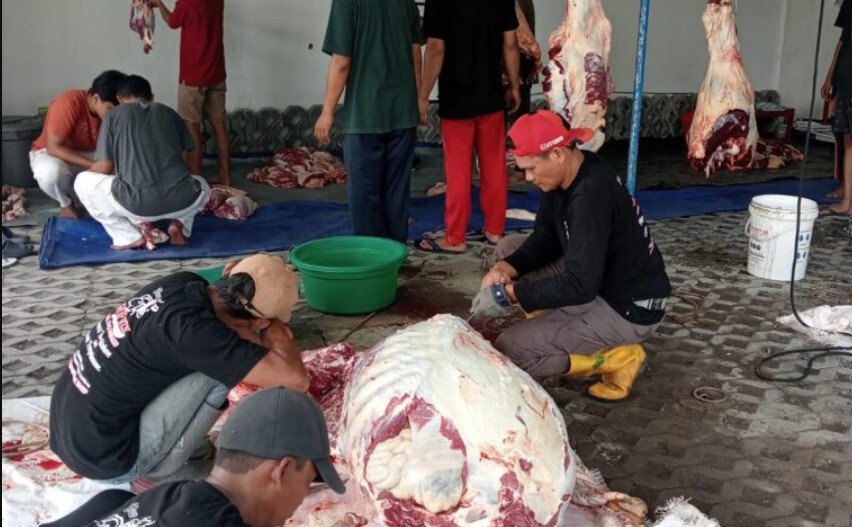 DPD LDII Kabupaten Sleman menggandeng peternak lokal dalam pelaksanaan penyembelihan hewan kurban pada Iduladha 1447 Hijriah/2026 Masehi. Foto: LINES