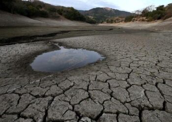 Bumi Terancam Godzilla El Nino, DPP LDII Minta Sejarah Kurang Pangan Tidak Terulang