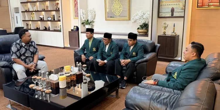 DPD LDII Kabupaten Gresik memaparkan delapan klaster program kepada Bupati Gresik Fandi Akhmad Yani saat audiensi di Pendopo Kabupaten Gresik, pada Kamis (16/7/2026). Foto: LINES