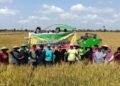 LDII Bataguh Kapuas Panen Padi dengan Intensifikasi Tani Dukung Ketahanan Pangan