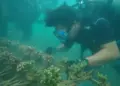Merawat Lingkungan Pesisir, Merawat Kedaulatan