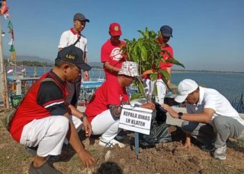 Ratusan Warga LDII Kerja Bakti Peringati Hari Jadi Kabupaten Klaten