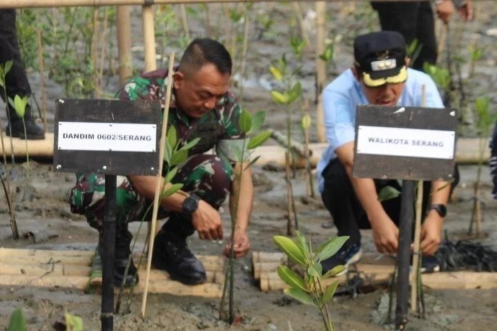 LDII Kramatwatu mendukung aksi penanaman 2.000 pohon mangrove yang digelar Kodim 0602/Serang bersama Pemkot. Foto: LINES.
