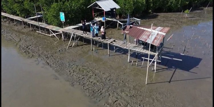 DPW LDII Sulawesi Selatan menggandeng berbagai elemen untuk menanam mangrove di kawasan Lantebung, Kota Makassar yang akan dilaksanakan pada Minggu (20/9/2026). Foto: LINES