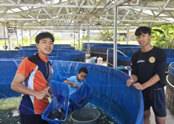 Dukung Ketahanan Pangan, Santri Ponpes Nurul Huda Banyuwangi Budidaya Nila dan Lele