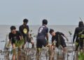 Tanam 1.000 Mangrove, LDII Sulsel Upaya Lindungi Pesisir Lantebung