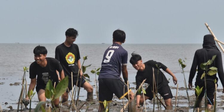 DPW LDII Sulawesi Selatan menanam lebih dari 1.000 bibit mangrove untuk mendukung pelestarian ekosistem pesisir Lantebung, Makassar, Sulawesi Selatan. Foto: LINES